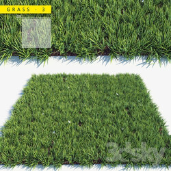 Grass 3 