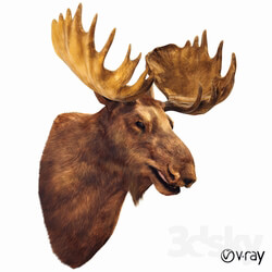 Other decorative objects Elk head 