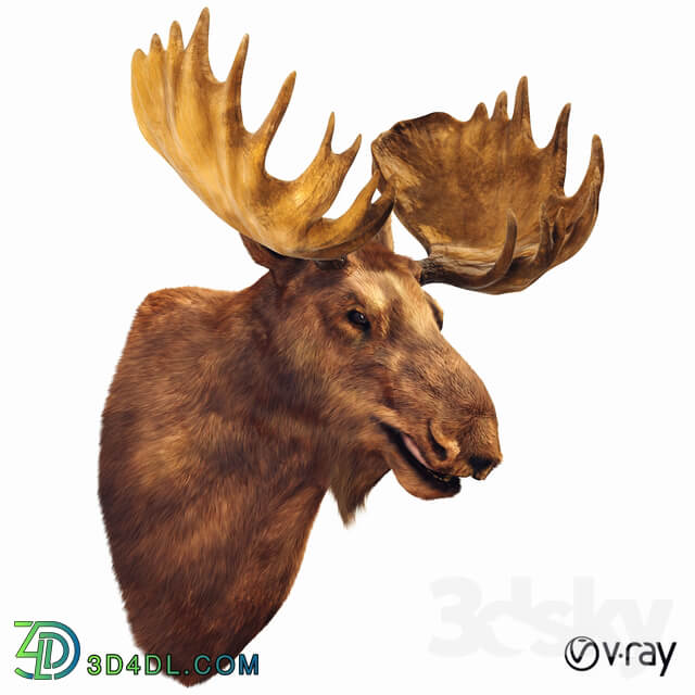 Other decorative objects Elk head