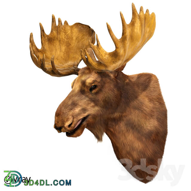 Other decorative objects Elk head