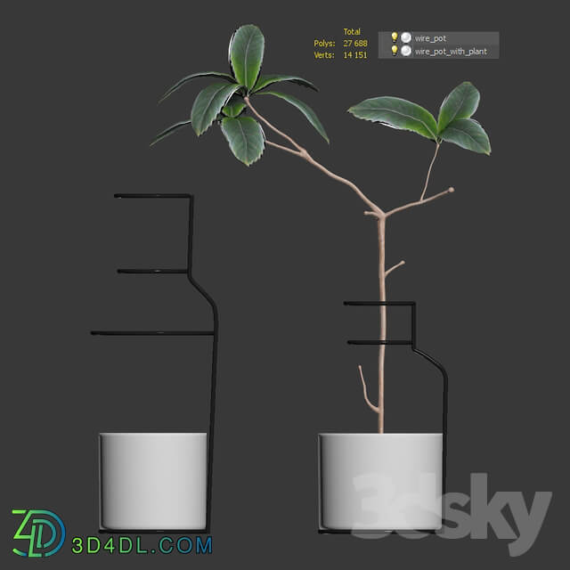 Plant in wire pots