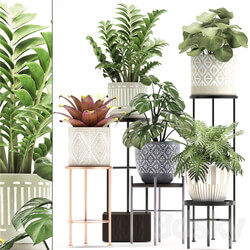 Collection of plants 333. Flower shelf stand Zamioculcas monstera Bromelia Philodendron houseplants stand Scandinavian style flower 3D Models 