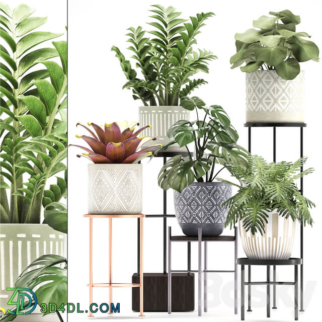 Collection of plants 333. Flower shelf stand Zamioculcas monstera Bromelia Philodendron houseplants stand Scandinavian style flower 3D Models