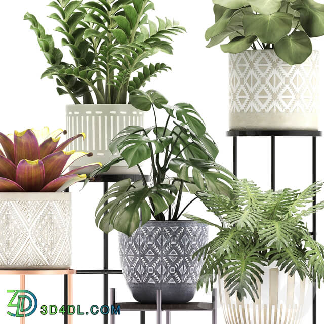 Collection of plants 333. Flower shelf stand Zamioculcas monstera Bromelia Philodendron houseplants stand Scandinavian style flower 3D Models