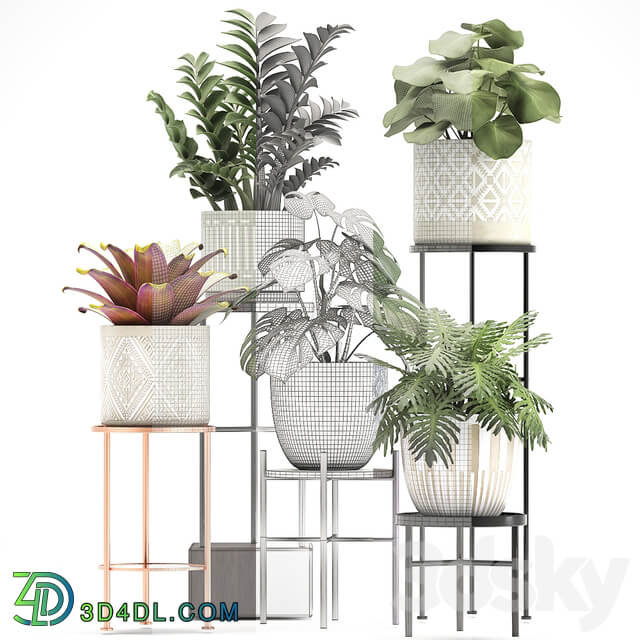 Collection of plants 333. Flower shelf stand Zamioculcas monstera Bromelia Philodendron houseplants stand Scandinavian style flower 3D Models