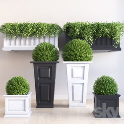 Mayne planter set 