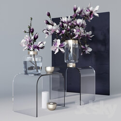 Decorative set with magnolia 