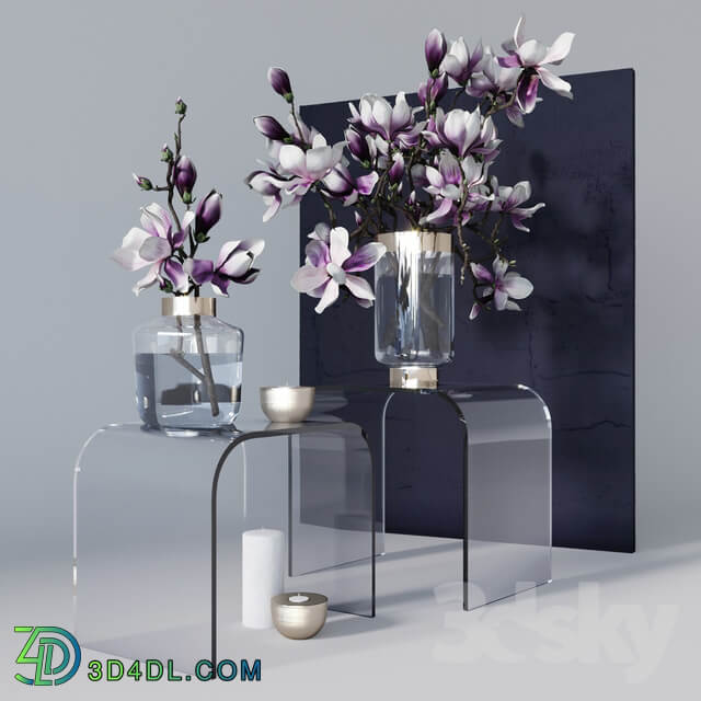 Decorative set with magnolia