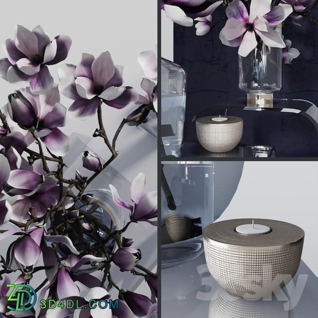 Decorative set with magnolia