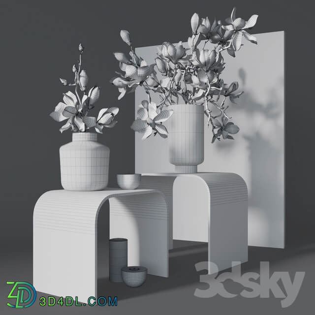 Decorative set with magnolia