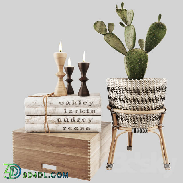 Modern Decor Set 10