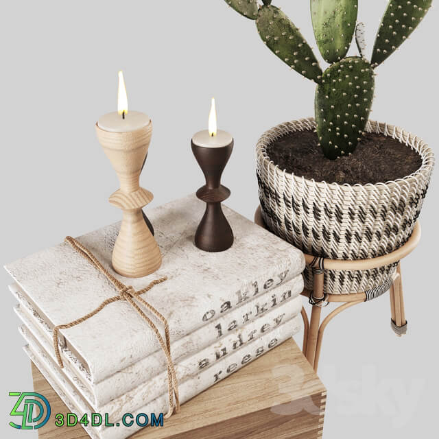 Modern Decor Set 10