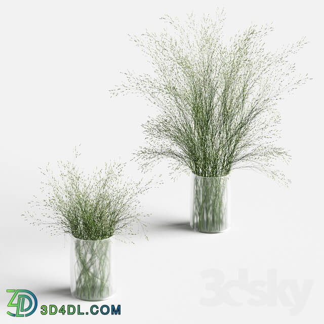 Grass in vases 2