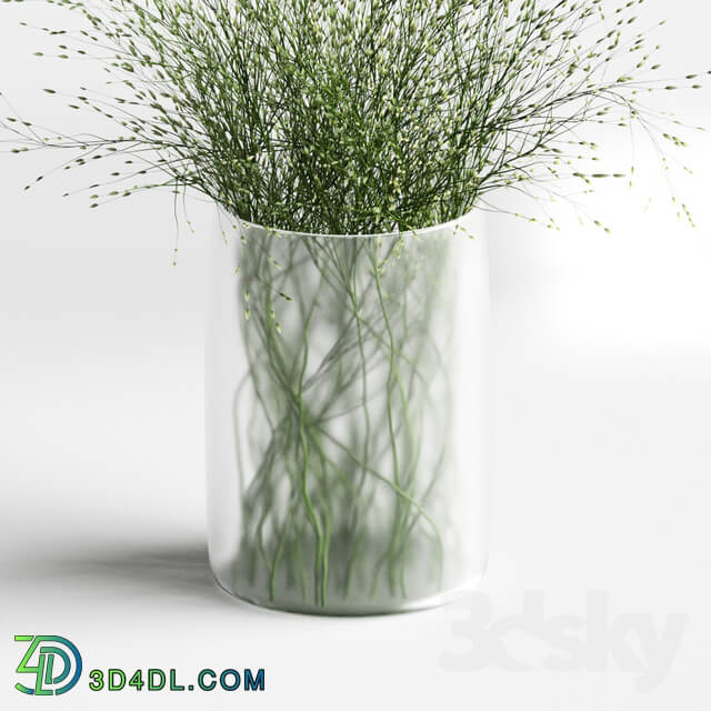 Grass in vases 2