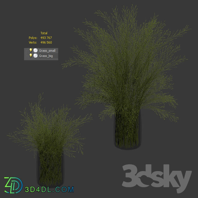 Grass in vases 2