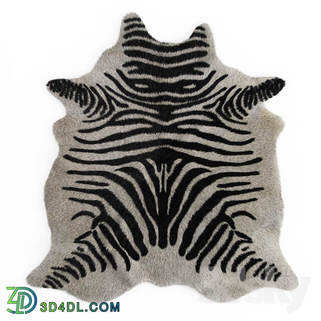 Zebra rug 02