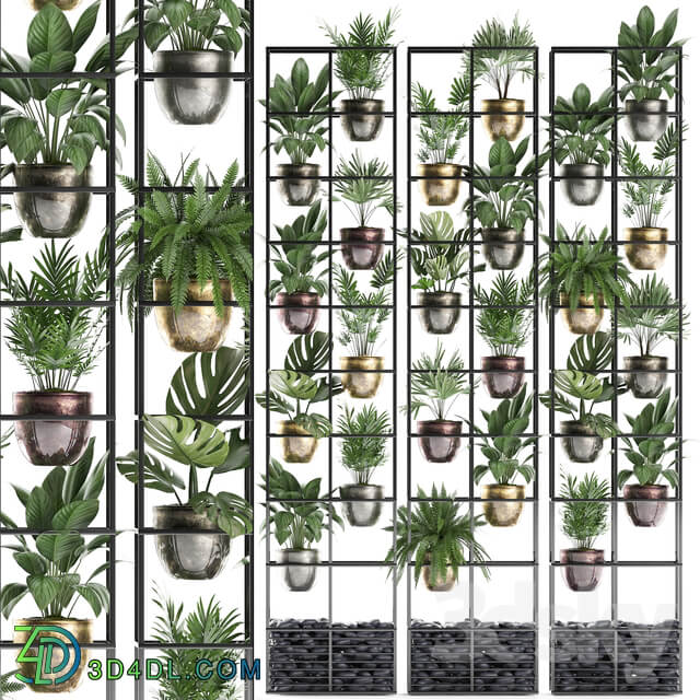 Vertical gardening. 27. Shelf with plants rack fern areca palm monstera loft indoor plants vertical garden phytowall phytomodule pots eco design Raphis palm Fitowall 3D Models