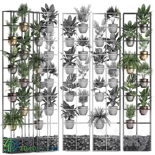 Vertical gardening. 27. Shelf with plants rack fern areca palm monstera loft indoor plants vertical garden phytowall phytomodule pots eco design Raphis palm Fitowall 3D Models