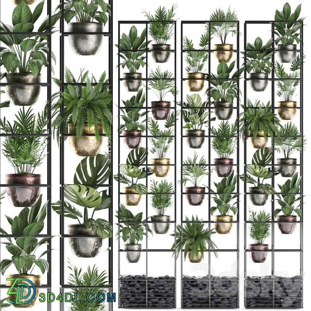 Vertical gardening. 27. Shelf with plants rack fern areca palm monstera loft indoor plants vertical garden phytowall phytomodule pots eco design Raphis palm Fitowall 3D Models