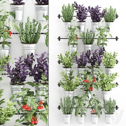 Vertical gardening. 33. Kitchen garden vegetable garden vegetables herbs tomatoes rosemary basil railing phytowall phytomodule Fitowall 3D Models 