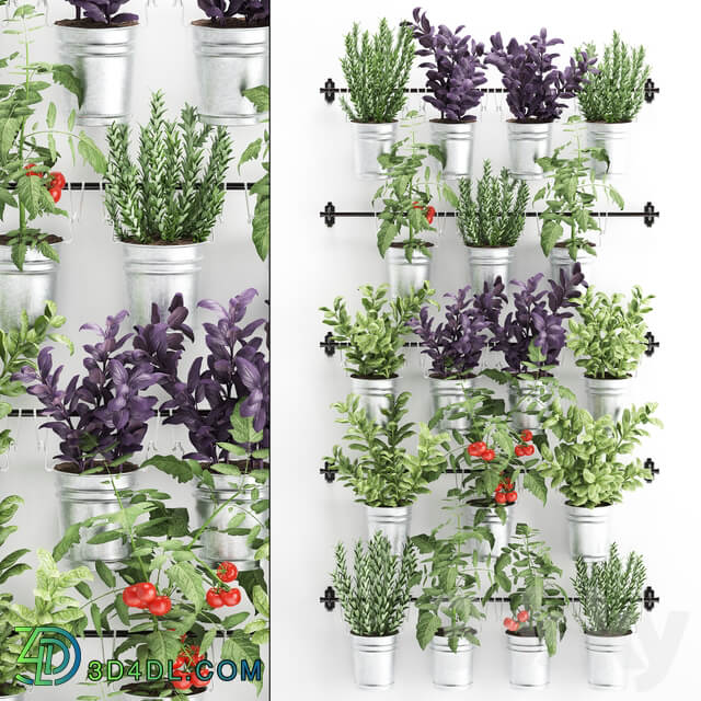 Vertical gardening. 33. Kitchen garden vegetable garden vegetables herbs tomatoes rosemary basil railing phytowall phytomodule Fitowall 3D Models