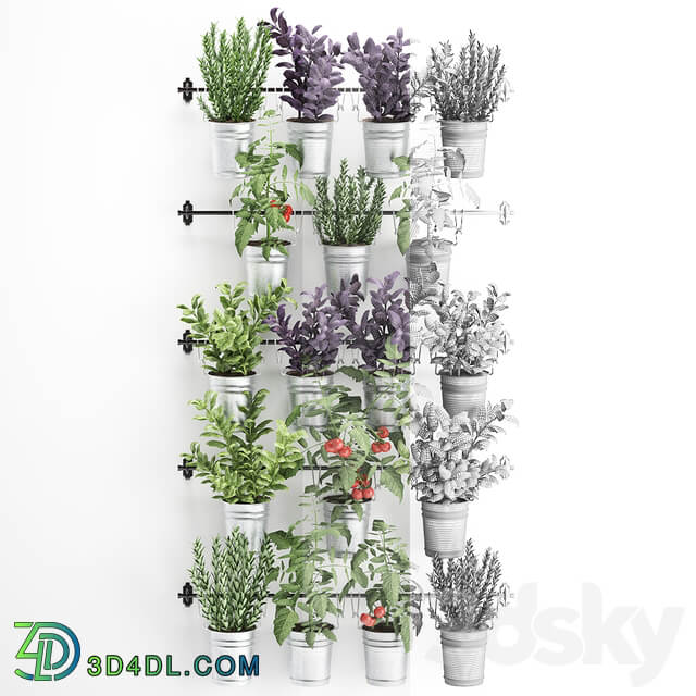 Vertical gardening. 33. Kitchen garden vegetable garden vegetables herbs tomatoes rosemary basil railing phytowall phytomodule Fitowall 3D Models