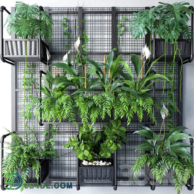 Fitowall JC Wall Grid Pot 6