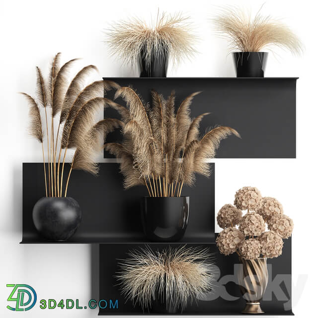 Bouquet of dried flowers 90. Black metal shelf loft dried flower pampas grass hydrangea vase decor eco design 3D Models