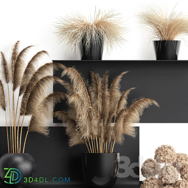 Bouquet of dried flowers 90. Black metal shelf loft dried flower pampas grass hydrangea vase decor eco design 3D Models