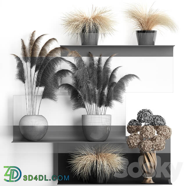 Bouquet of dried flowers 90. Black metal shelf loft dried flower pampas grass hydrangea vase decor eco design 3D Models