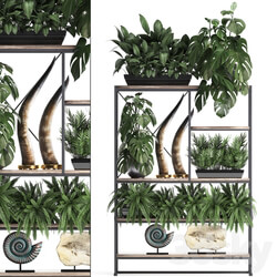 Decorative set. 10 Shelf with flowers monstera fern tusk ammonite indoor plants phytomodule phytowall landscaping 3D Models 