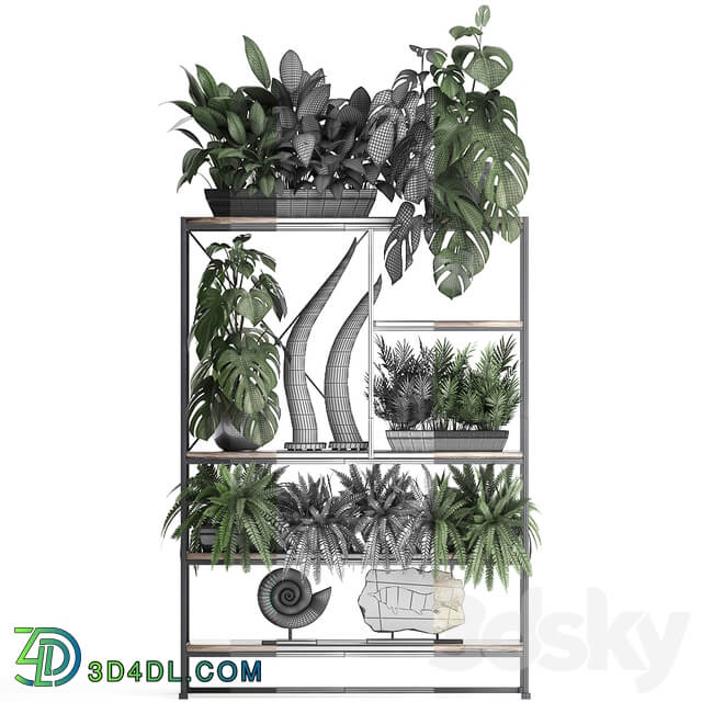 Decorative set. 10 Shelf with flowers monstera fern tusk ammonite indoor plants phytomodule phytowall landscaping 3D Models