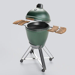 Outdoor Barbecue Grill Big Green Egg 