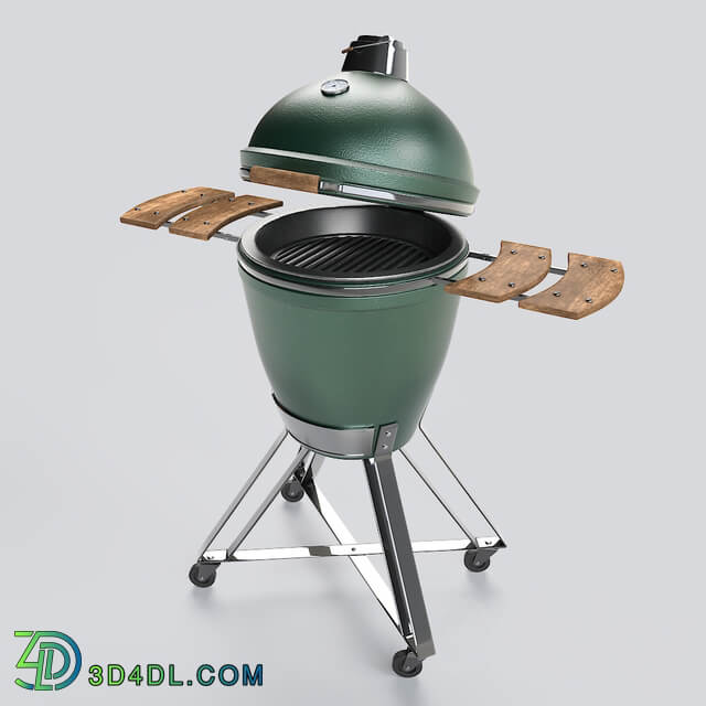 Outdoor Barbecue Grill Big Green Egg