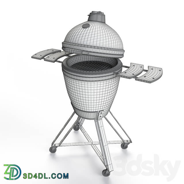 Outdoor Barbecue Grill Big Green Egg