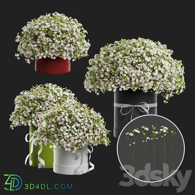 Gypsophila bouquet in a hat box