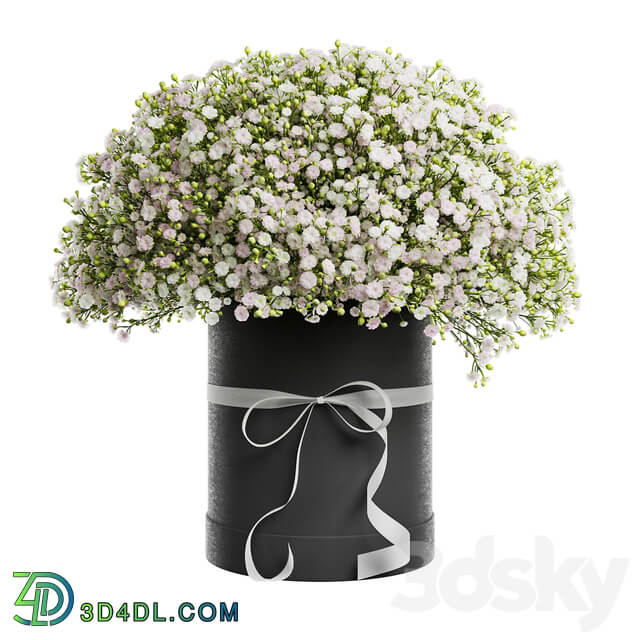 Gypsophila bouquet in a hat box