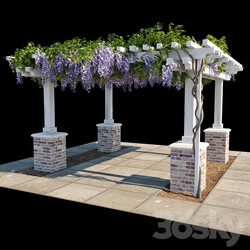 Other Pergola with Wisteria Pergola with Wisteria  