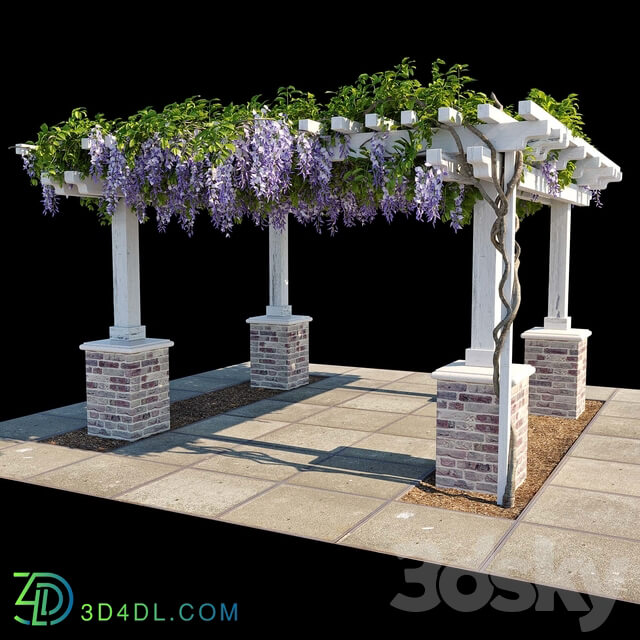 Other Pergola with Wisteria Pergola with Wisteria 