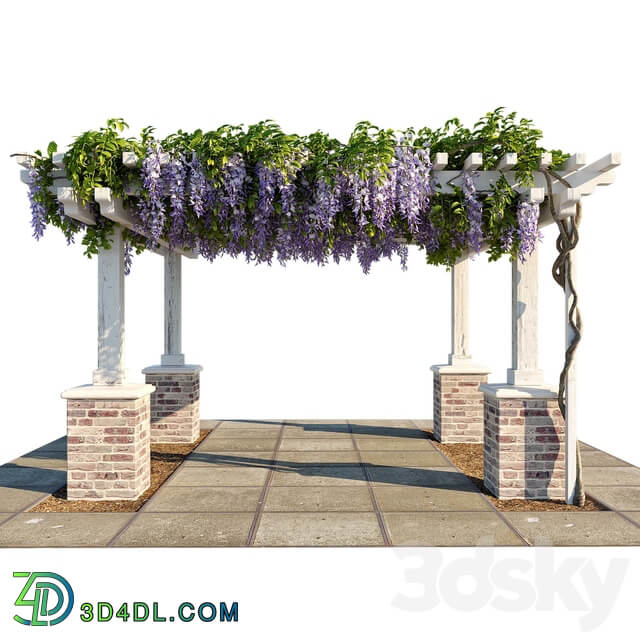 Other Pergola with Wisteria Pergola with Wisteria 