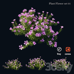 Plant Flower set 01 