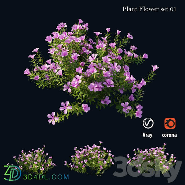 Plant Flower set 01