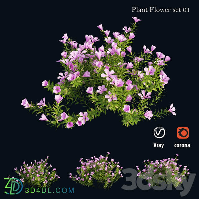 Plant Flower set 01