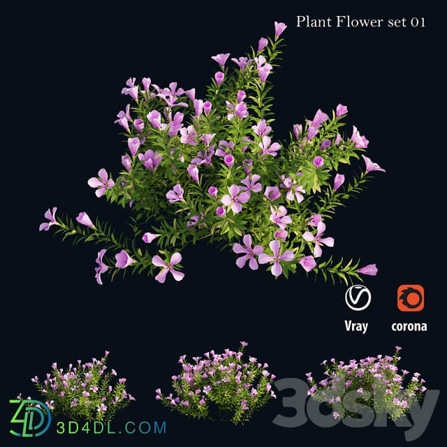 Plant Flower set 01