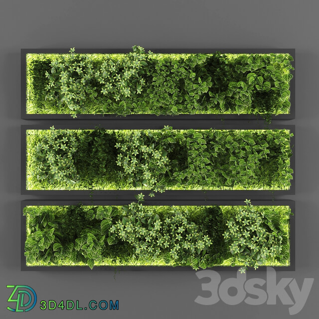 Fitowall Vertical garden 074