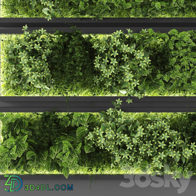 Fitowall Vertical garden 074