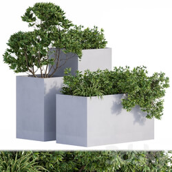 Outdoor Plants Box Concrete 