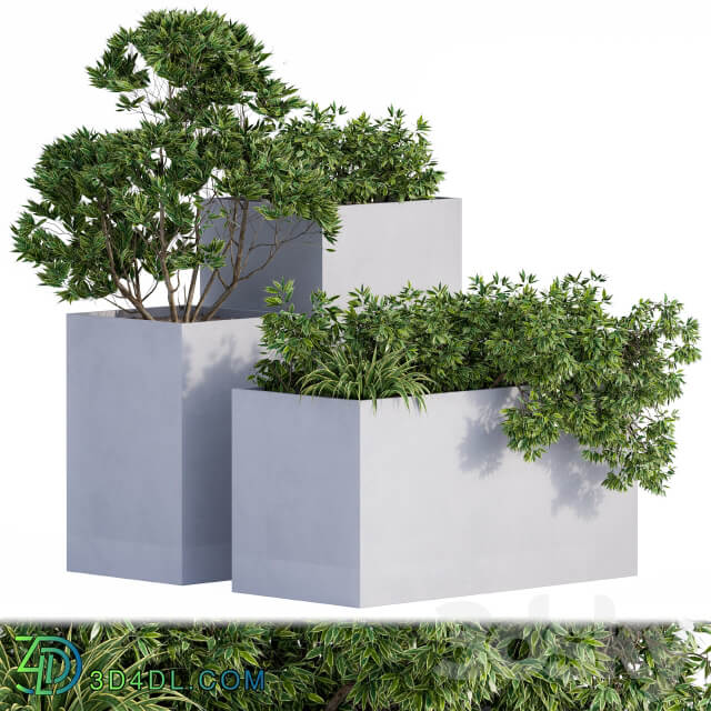 Outdoor Plants Box Concrete