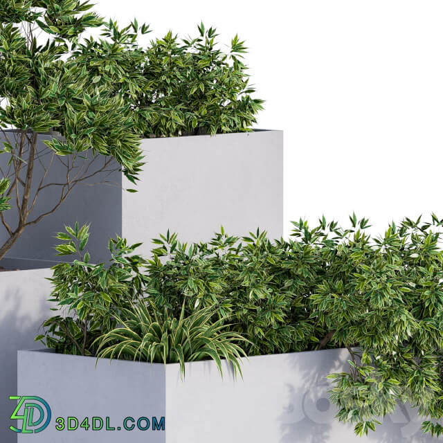 Outdoor Plants Box Concrete