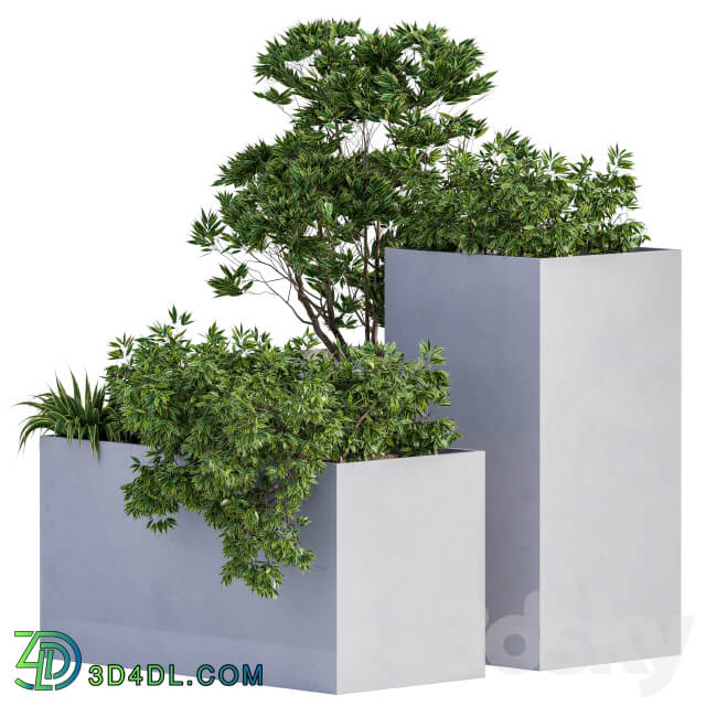 Outdoor Plants Box Concrete